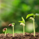 growth viewing