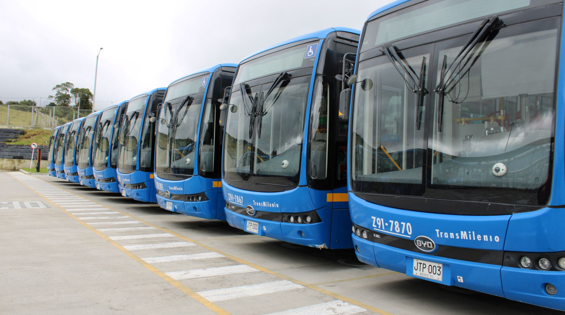 Electribus insights viewing