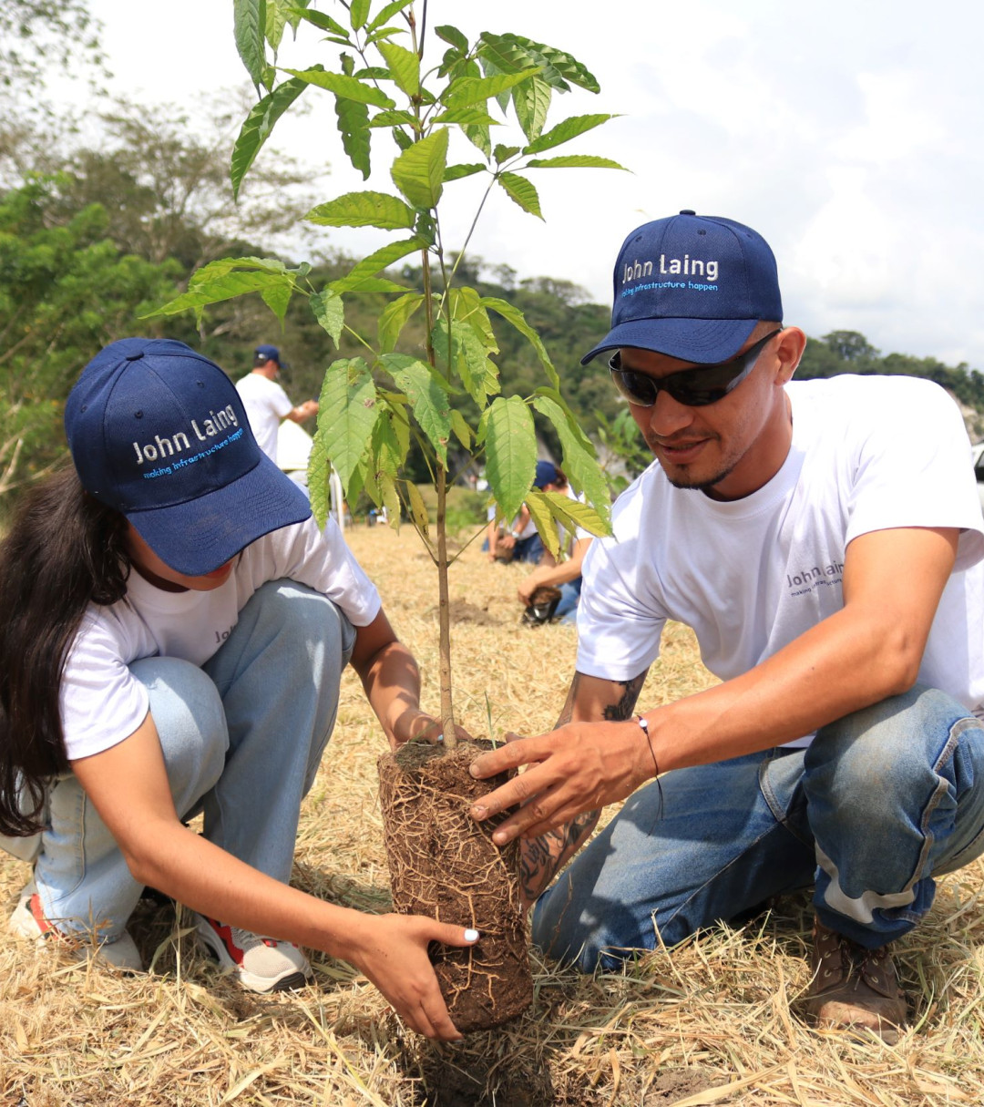 tree planting branded viewing v2
