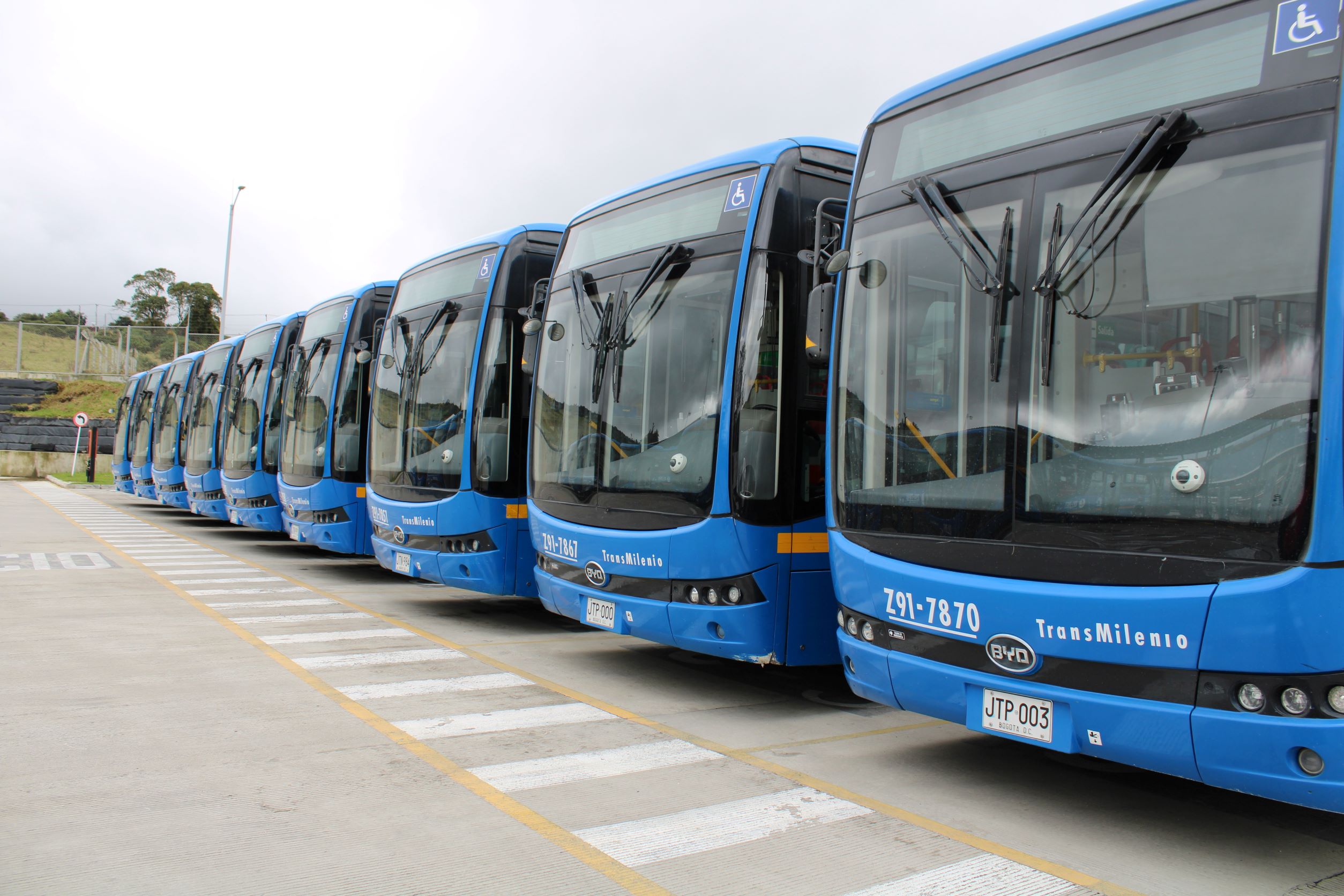 Electribus insights viewing