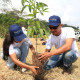 tree planting branded viewing
